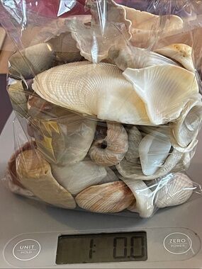 1 lb. bag of mixed seashells
